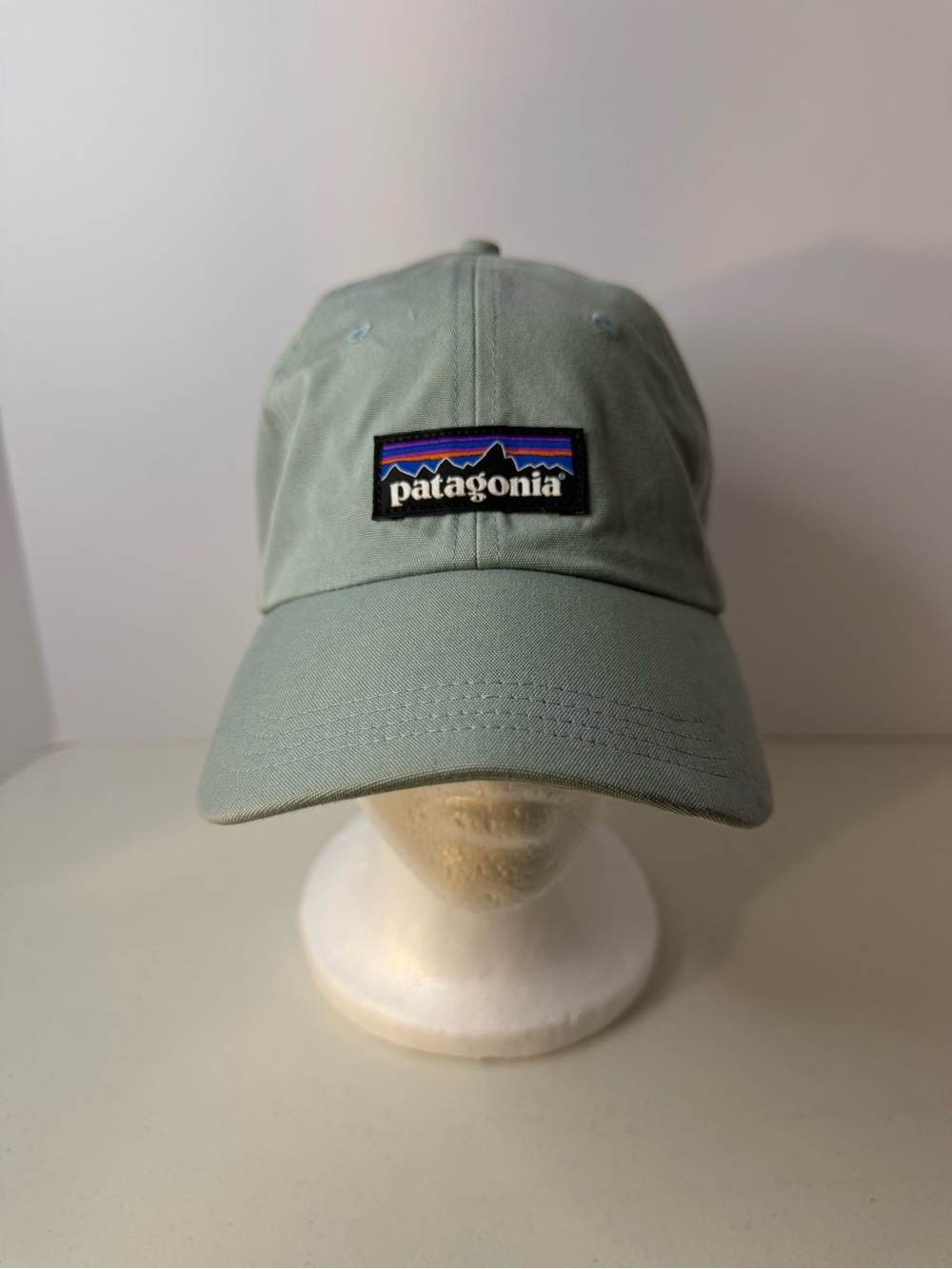 Patagonia Sage Green P-6 Label Trad Cap Adjustable Hat
